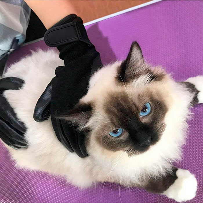 Pawly premium DUO